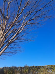 群馬県太田市　小春日和